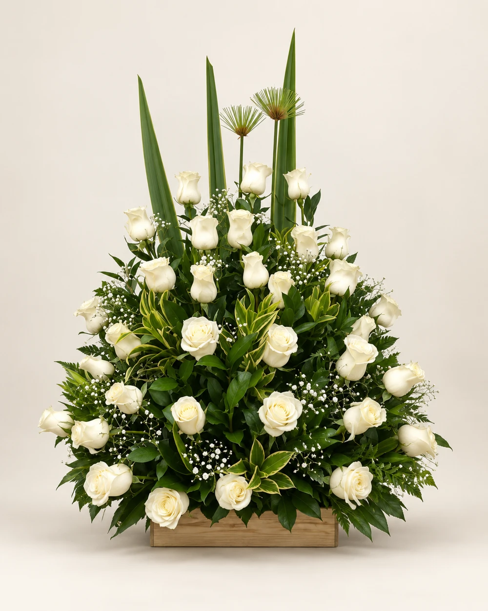 Rosas Blancas